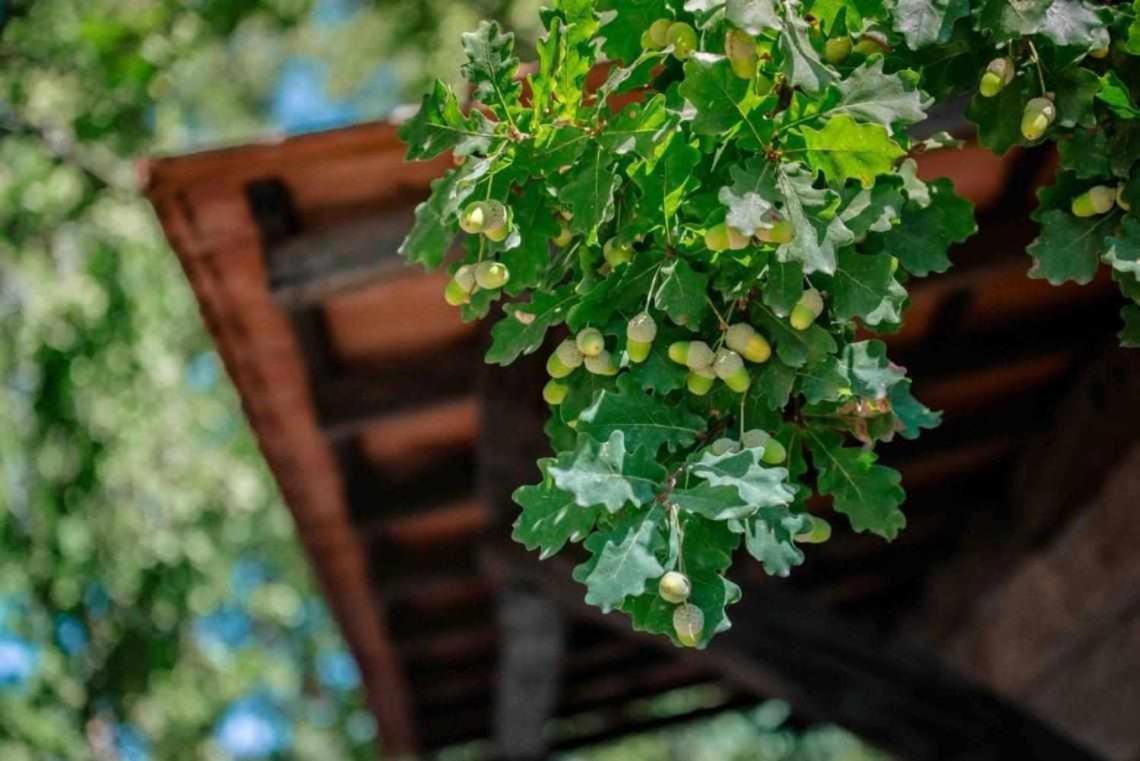 Torrão Quinta Vale De Frades旅馆 外观 照片